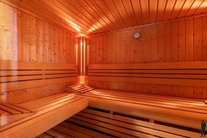 Finse sauna